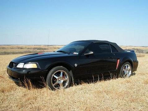 The Stang shortly after I purchased it.