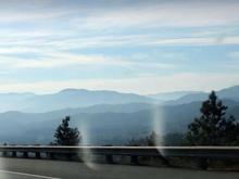 the view