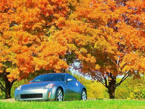 Saturday, in the park...