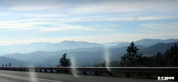the view