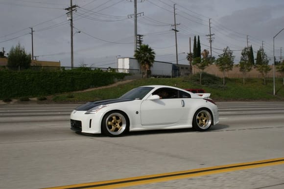 rolling shot gold meister s1