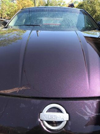[Sales Listing] Can Kind of see chipped paint on bumper near driver side headlight