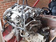 From the word go this was the engine that had to be used. I know some people will hate it but my wife nagged me saying it will never fit and to scrap it as it was a pile  of crap so me being me I couldn't let her have the satisfaction so I'm about 5 n half grand in and got about 3 grand to go but worth every penny to say f you to all the doubters