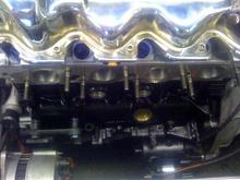 2.1 zvh in situ