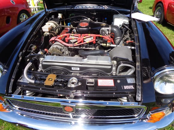 Very neat and tidy engine bay.