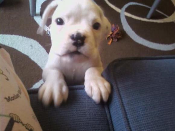 n1323553351 192297 9364