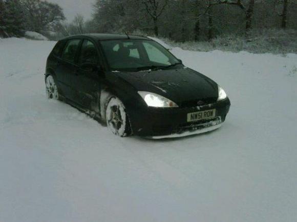 Trentham Gardens, who said lowered cars couldn't go anywhere?