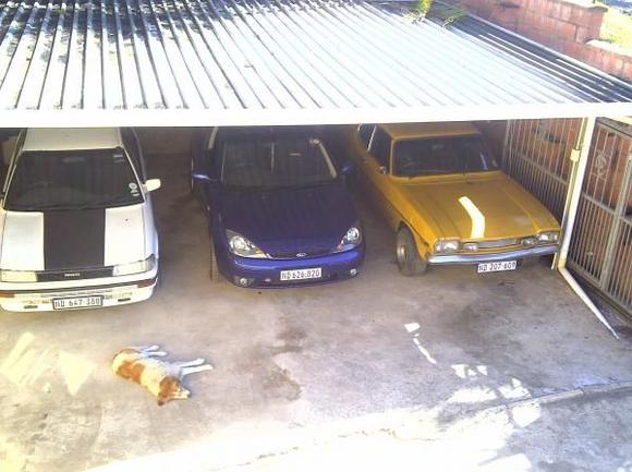 Run around car, Focus ST170, Capri 1600GT