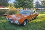 1971 Buick Skylark  for sale $29,900 