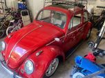 1964 Volkswagen Beetle  for sale $21,495 