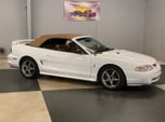 1998 Ford Mustang for Sale $13,500