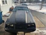 1979 Ford Mustang   for sale $14,500 
