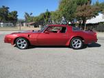 1976 Pontiac Firebird 