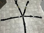 Racing Harness, SFI 16.1 Profi 2x2, 5-point, 2 in., Camlock,  for sale $200 