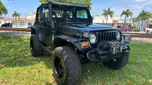 2002 Jeep Wrangler  for sale $16,495 