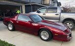 1987 Chevrolet Camaro IROC Z28 350TPI - Race / Show Car  for sale $40,000 