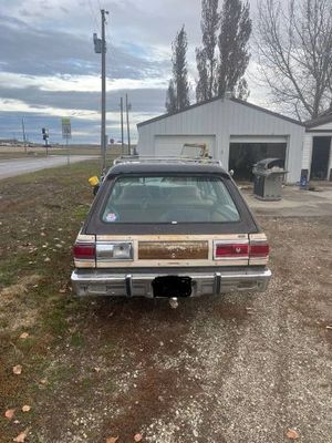 1979 Chrysler Town & Country  for sale $6,495 