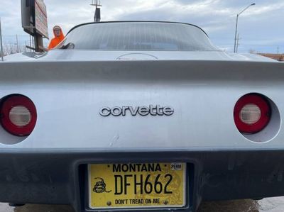 1981 Chevrolet Corvette  for sale $18,993 