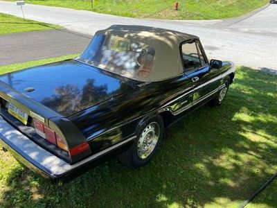 1987 Alfa Romeo Spider  for sale $15,495 