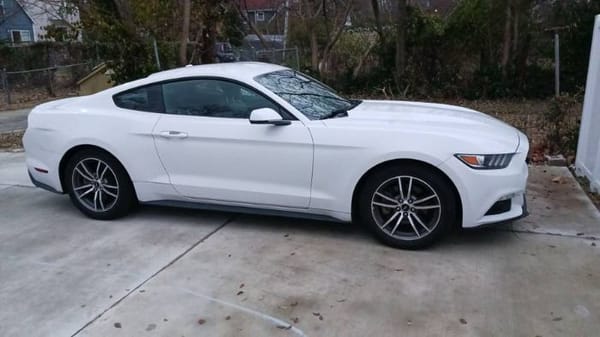 2017 Ford Mustang  for Sale $23,995 