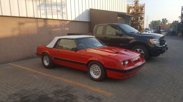 1985 Ford Mustang for Sale $10,000