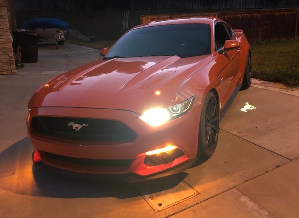 2016 Ford Mustang  for Sale $42,500 