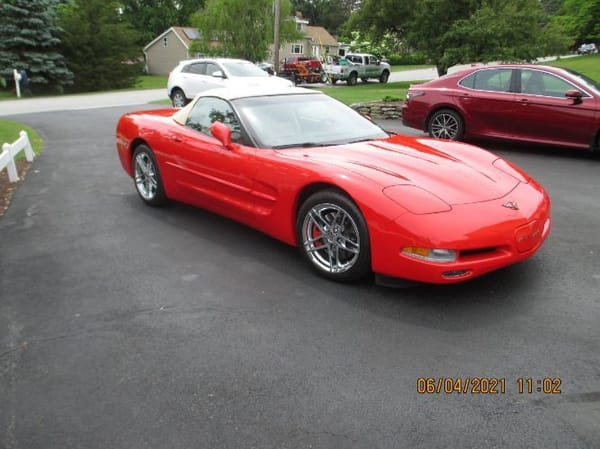 1999 Chevrolet Corvette  for Sale $28,495 