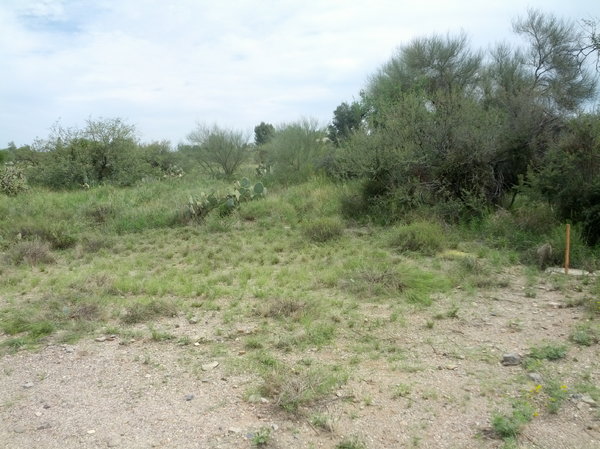 Golf Course Building Lot near Track  for Sale $50,000 