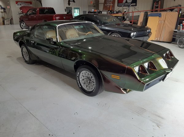 1981 Pontiac trans am for Sale $18,500