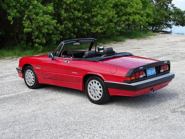 1986 Alfa Romeo Spider Quadrifoglio  for Sale $16,995 