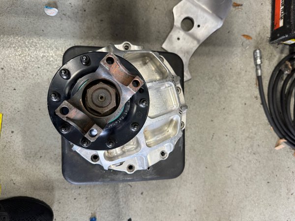 Tom's Thirdmember 4.11 - 9.5" - $2,500  for Sale $2,500 