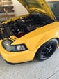 Coyote swapped Mustang Gt 
