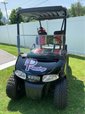 2014 EZGO RXV-E Golf Cart  for sale $6,500 