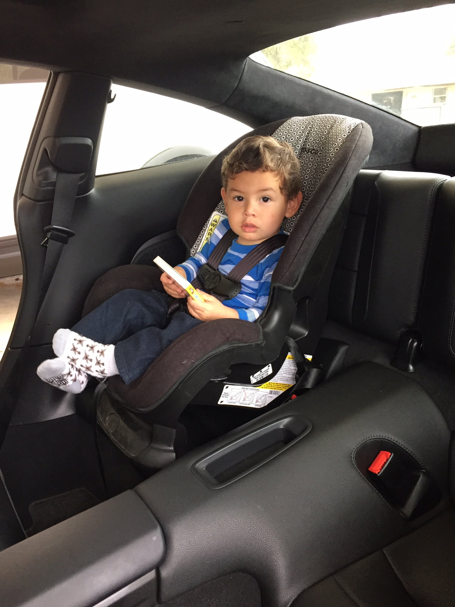 991 child/infant seats Page 3 Rennlist Porsche Discussion Forums