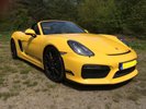 Speedyellow 2016 Spyder