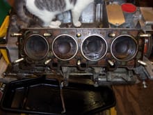 Cylinder head gasket is intact.