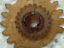 Gummy gear. This was on a 91 model