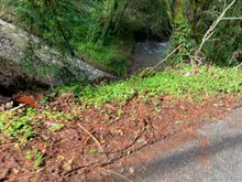 the little creek is usually dry, but this raining season made it pretty