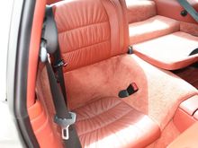 backseat2