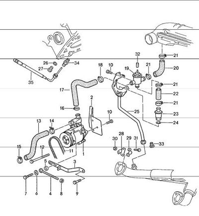 Cat equipped model