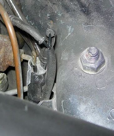 mystery plug