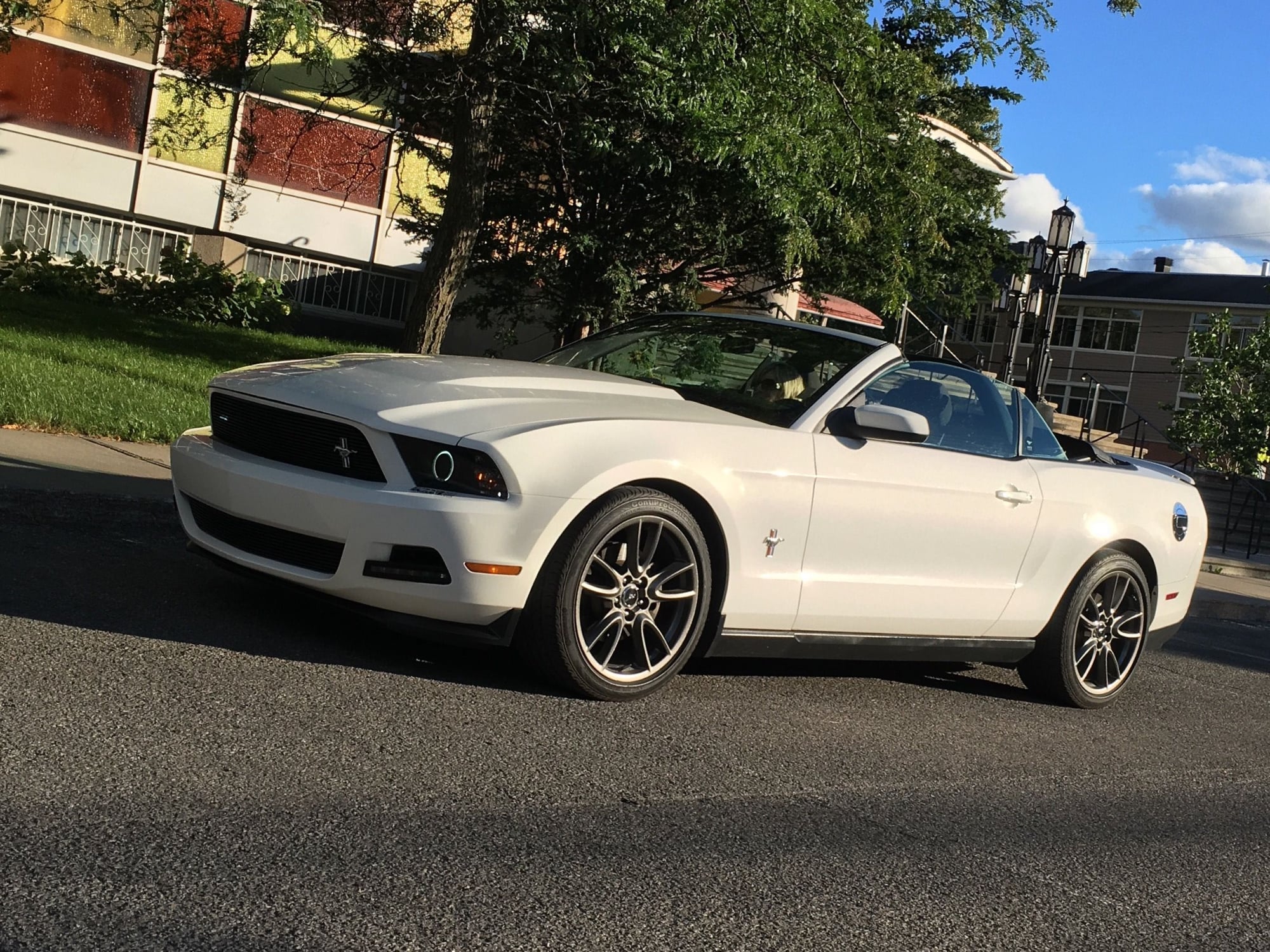 new mustangs for sale