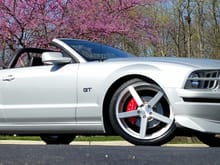 Satin Silver Mustang GT