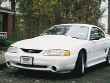 1995 Cobra R (white or nothing)