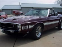 Mustang Photo Archive 1969-1970 Mustangs 1969 Mustang 1969 Shelby Mustangs 1969 Shelby GT500