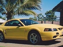 Mustang Photo Archive 1999-2004 Mustangs 2002 Mustang 2002 SVT Cobra - Australia