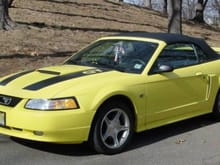 Mustang Photo Archive 1999-2004 Mustangs 2000 Mustang 2000 Mustang GT 2000 Spring Feature