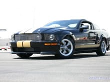 Mustang Photo Archive 2005-2009 Mustangs 2006 Mustang 2006 Shelby GT-H GT-H #1