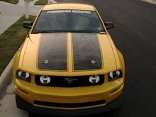 Stang 007