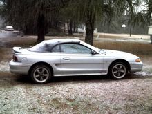 My Mustang